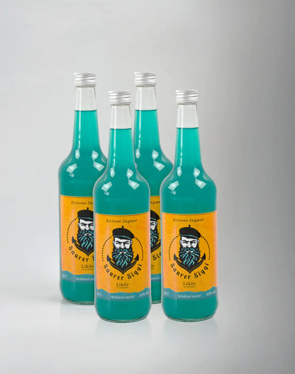 4er Set Saurer Siggi